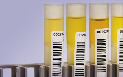 Pennsylvania Federal Court Follows State Ruling That Medical Marijuana Use Is Not a Disability Under State Law